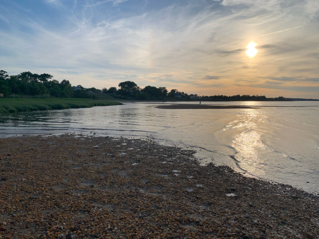 a body of water with trees and a sunset in the background (MyCoast AI)