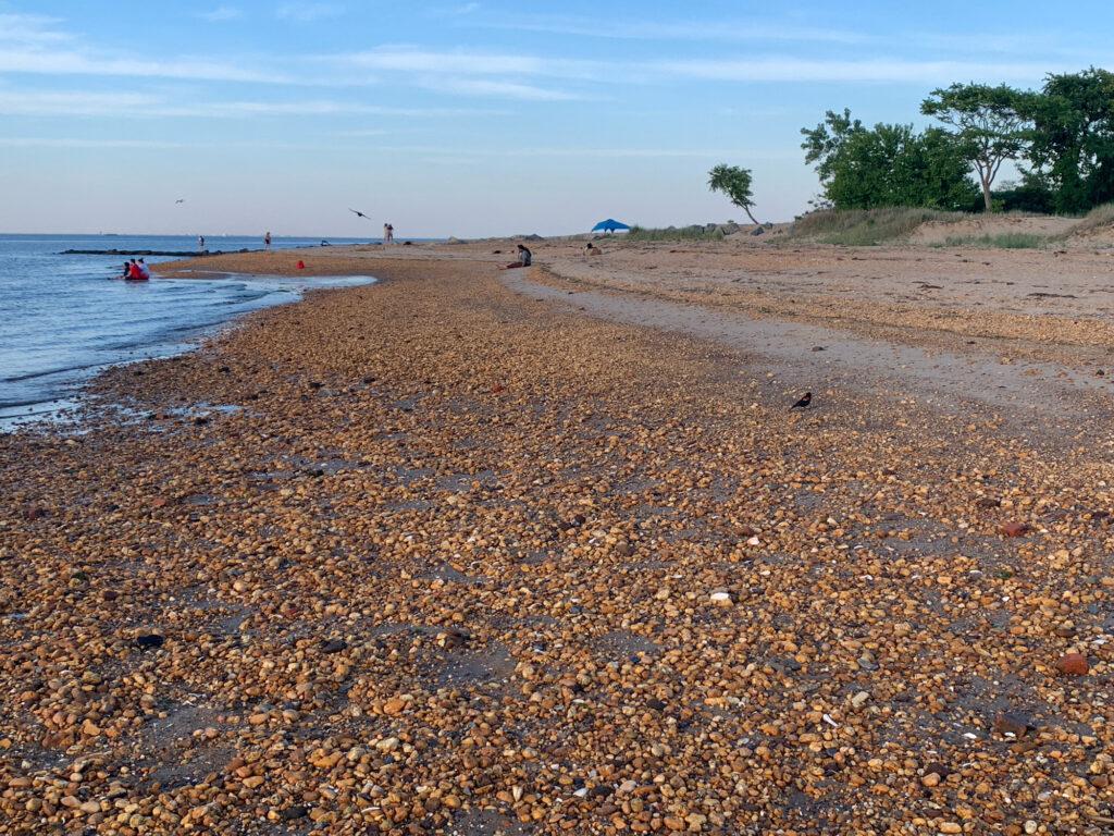a beach with people on it (MyCoast AI)