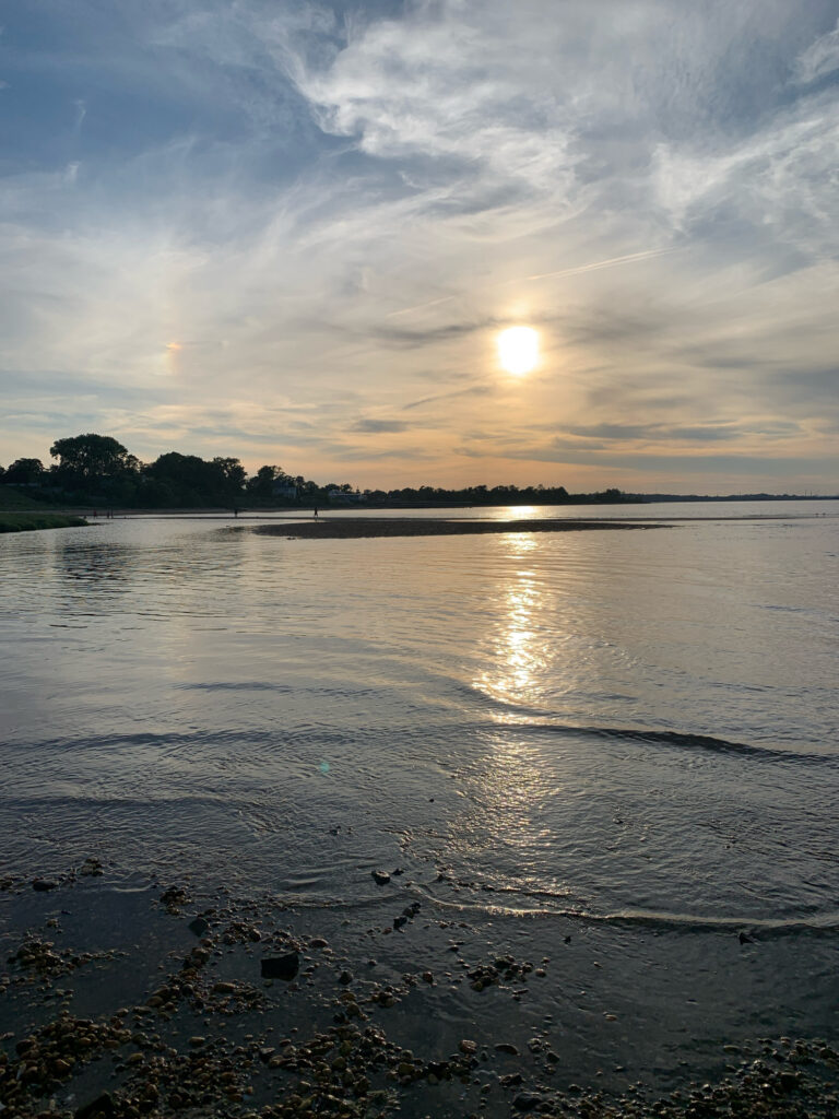 a body of water with a beach and trees in the background (MyCoast AI)