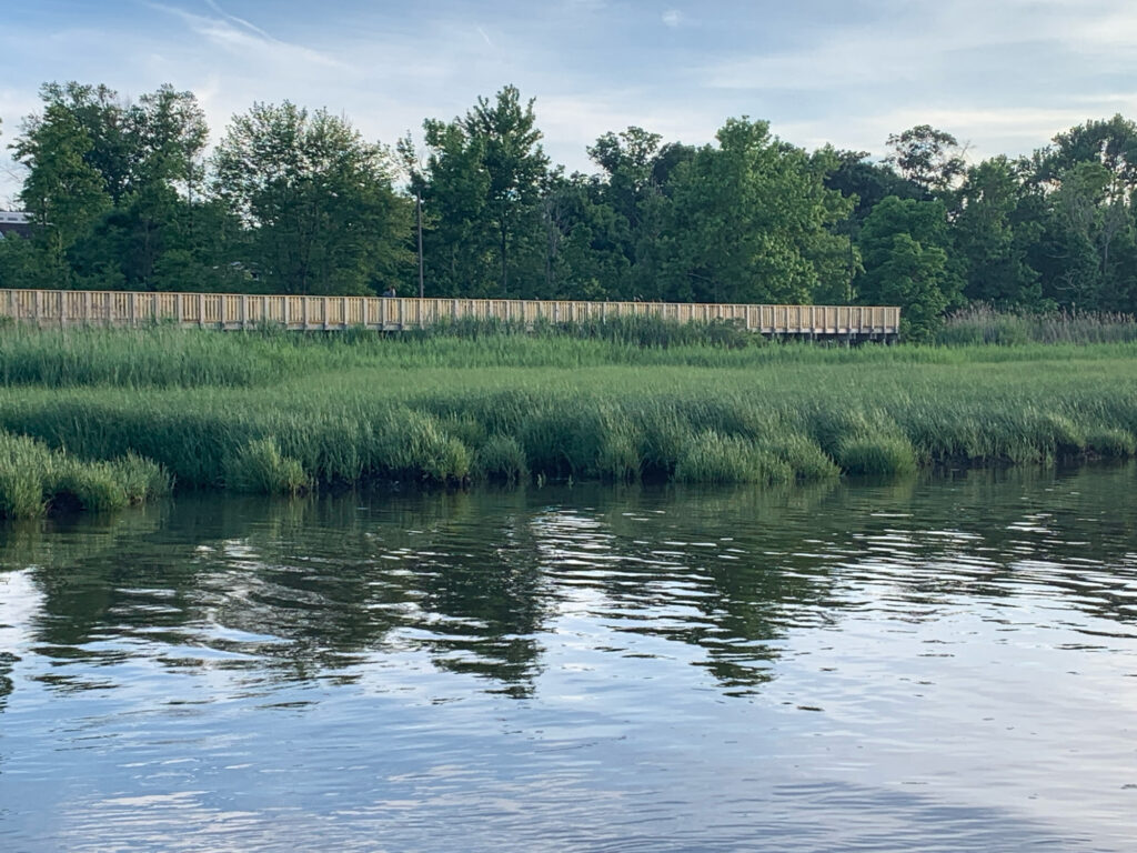 a body of water with grass and trees around it (MyCoast AI)