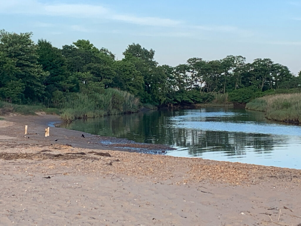 a body of water with trees around it (MyCoast AI)