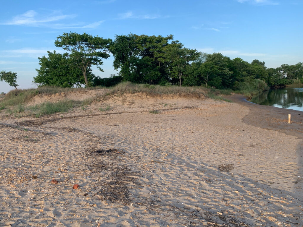 a dirt road with trees on the side (MyCoast AI)