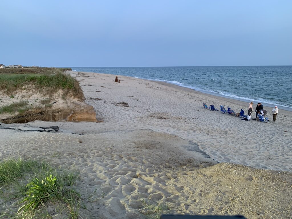 people on a beach (MyCoast AI)