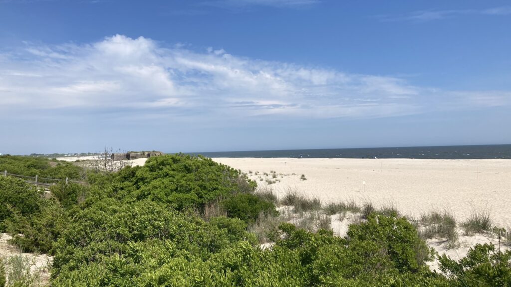 a sandy beach with bushes and trees (MyCoast AI)