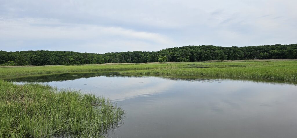 a body of water with grass and trees around it (MyCoast AI)