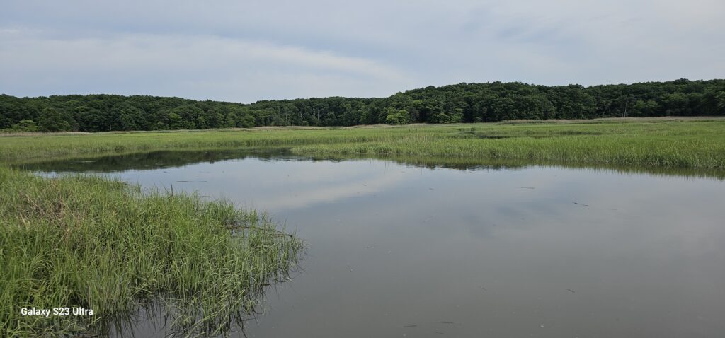 a body of water with grass and trees around it (MyCoast AI)