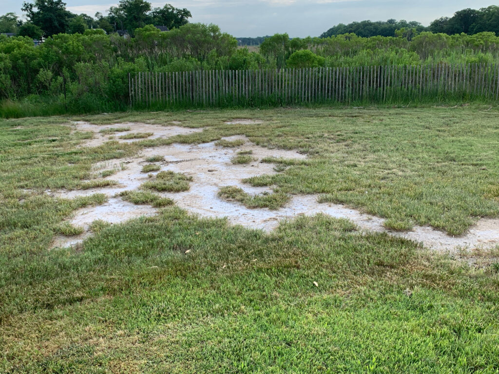 a marshy area with a fence (MyCoast AI)