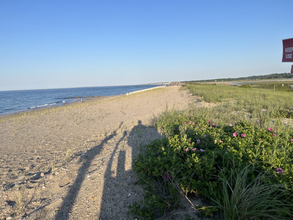 a dirt road next to a beach (MyCoast AI)