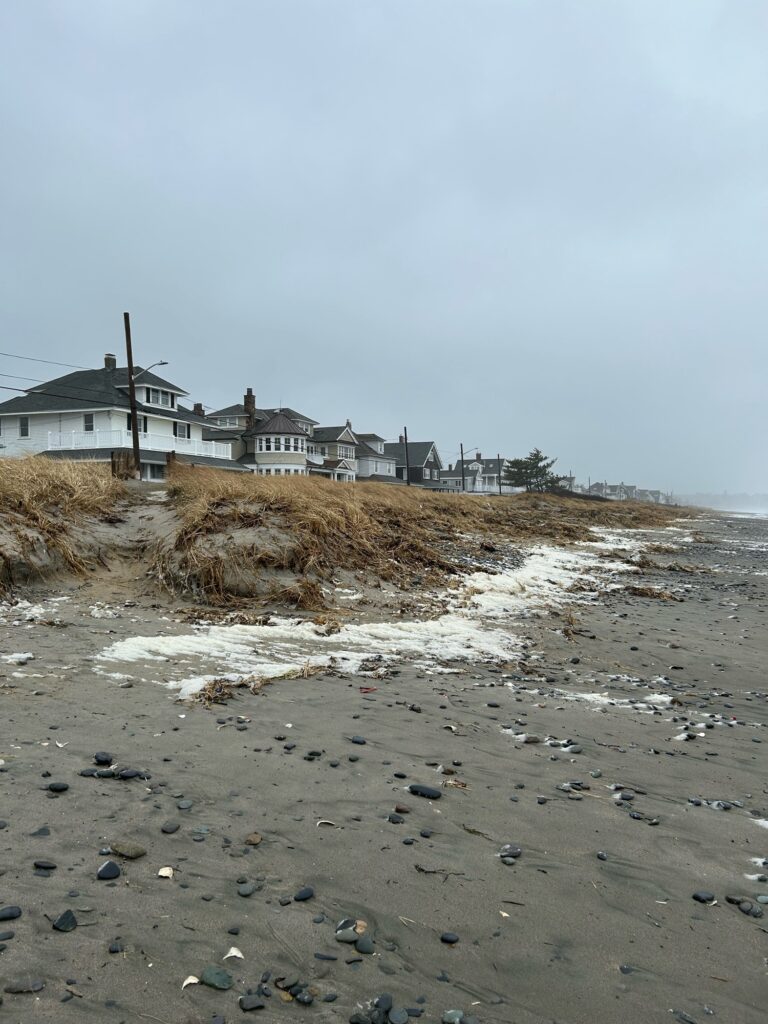 a beach with houses in the background (MyCoast AI)