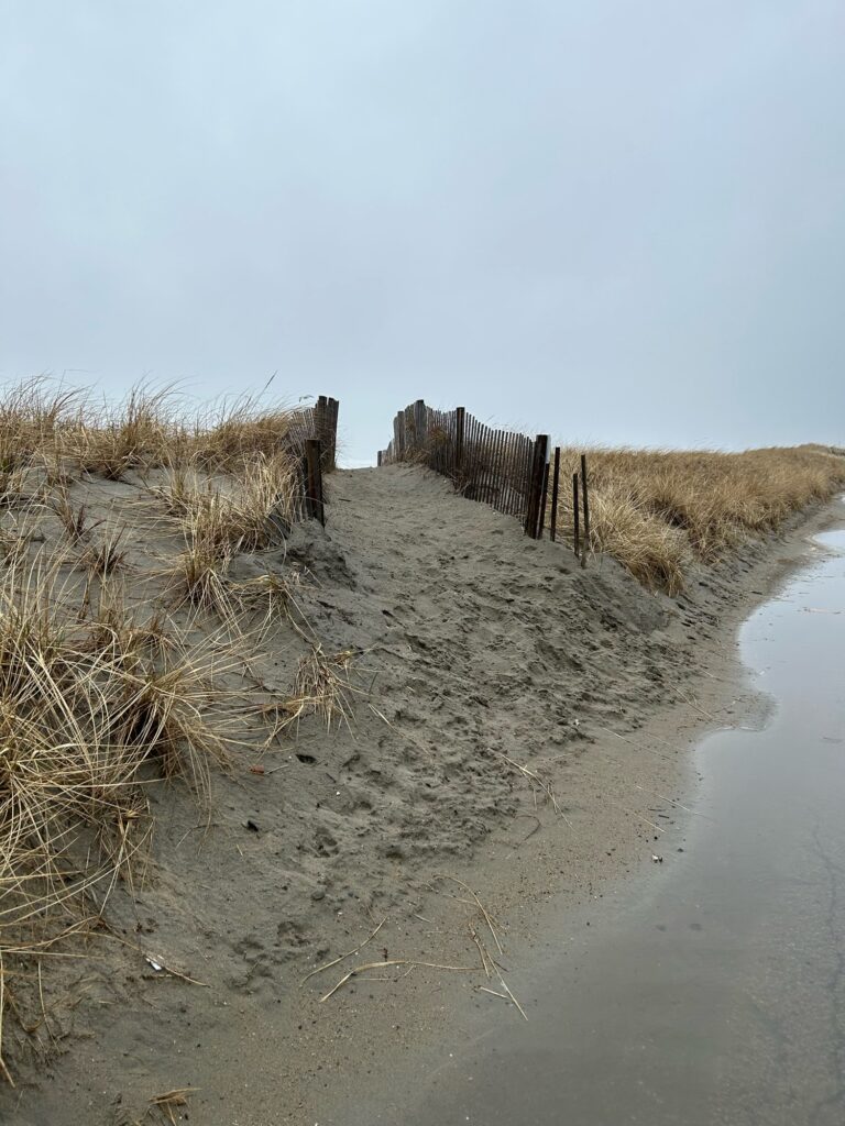 a sandy beach with a fence (MyCoast AI)