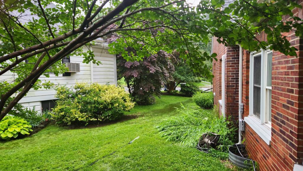 a yard with a brick building and a tree (MyCoast AI)