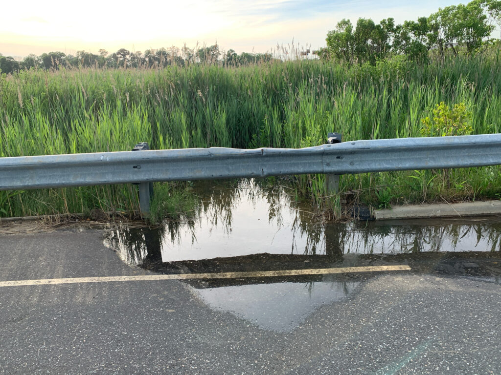 a road with water on the side (MyCoast AI)