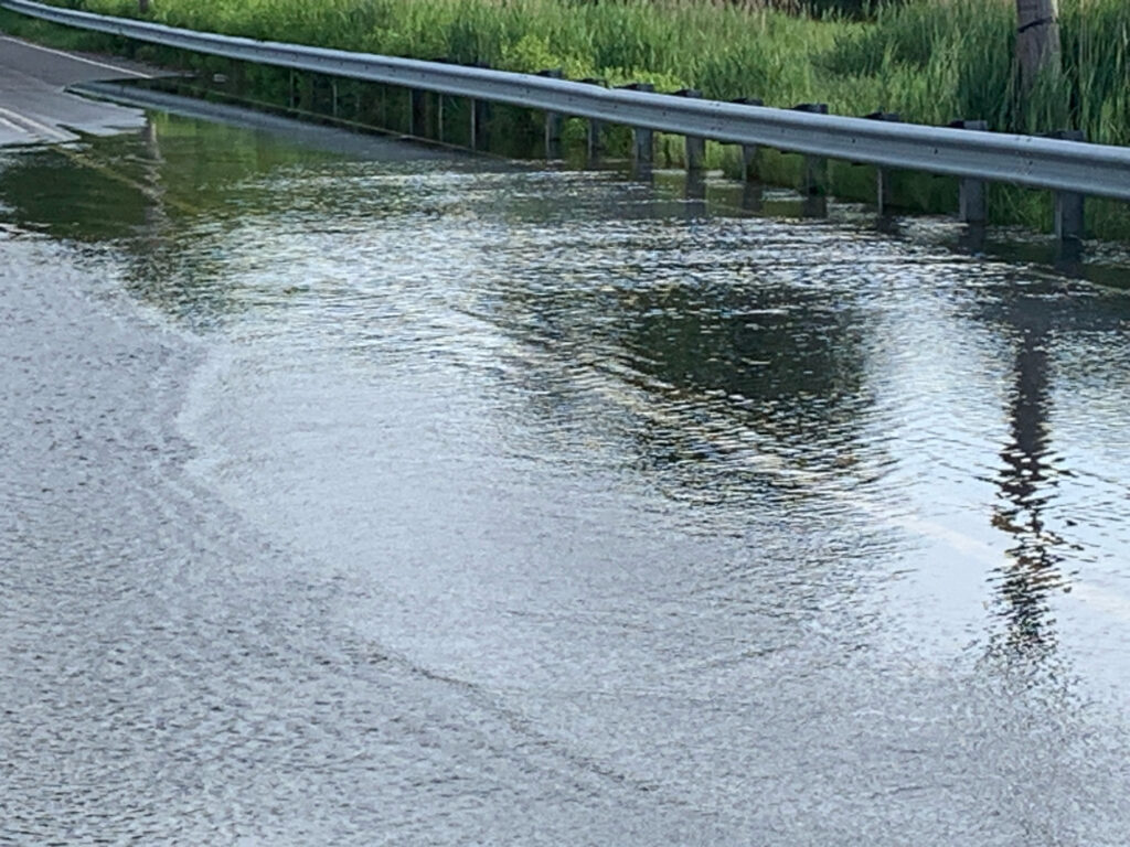 a bridge over a body of water (MyCoast AI)