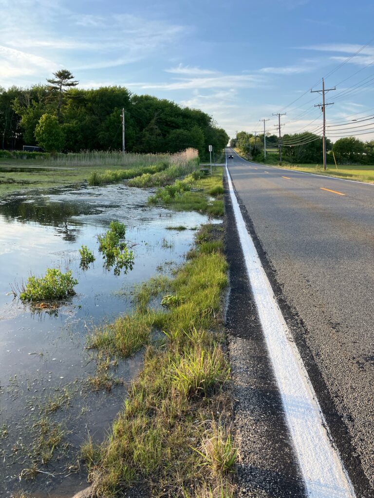 a road with water on the side (MyCoast AI)