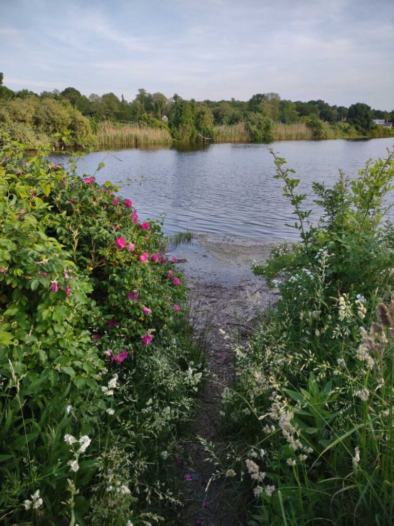 a river with flowers and trees (MyCoast AI)
