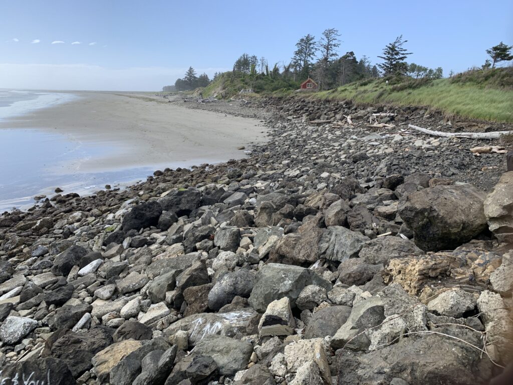 a rocky beach with trees and water (MyCoast AI)