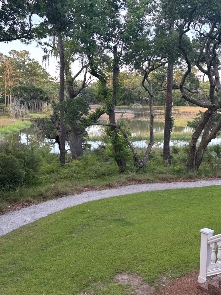 a path with grass and trees by a body of water (MyCoast AI)