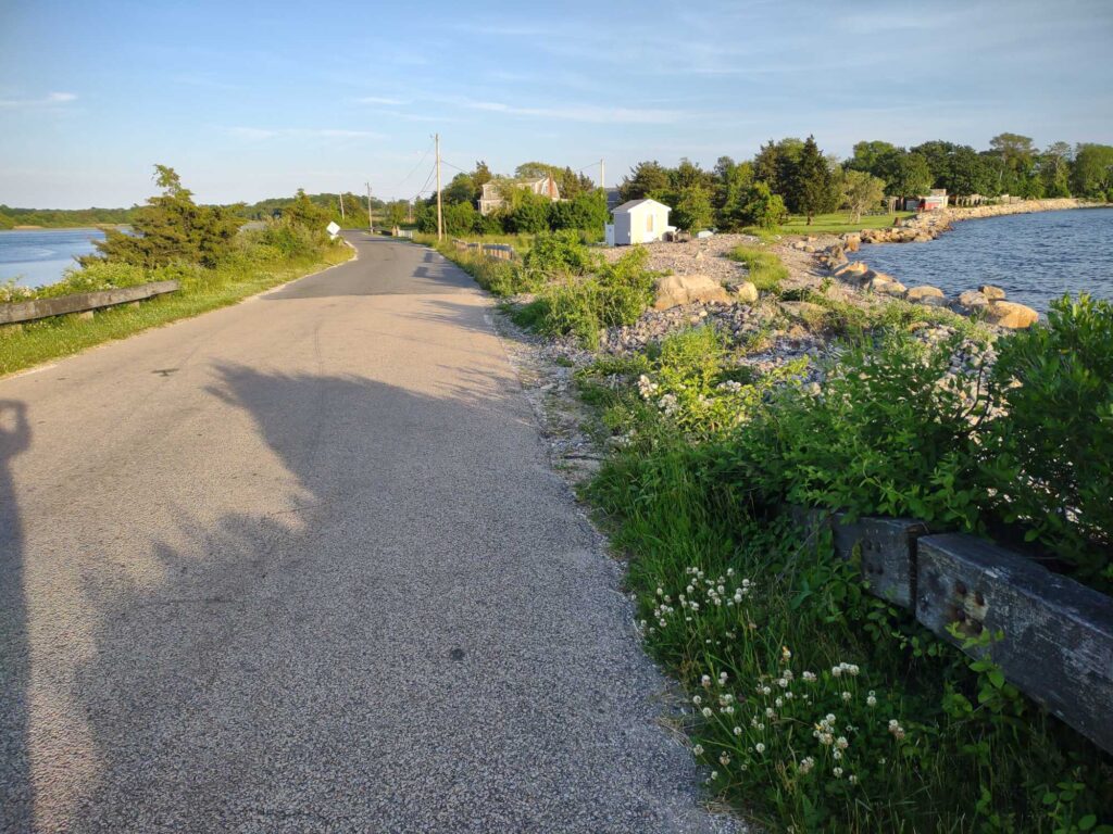 a road with flowers and grass along it (MyCoast AI)