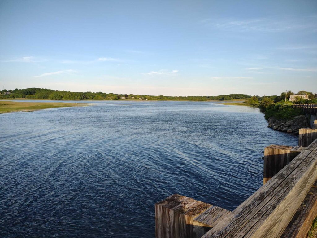 a body of water with a dock and trees in the background (MyCoast AI)