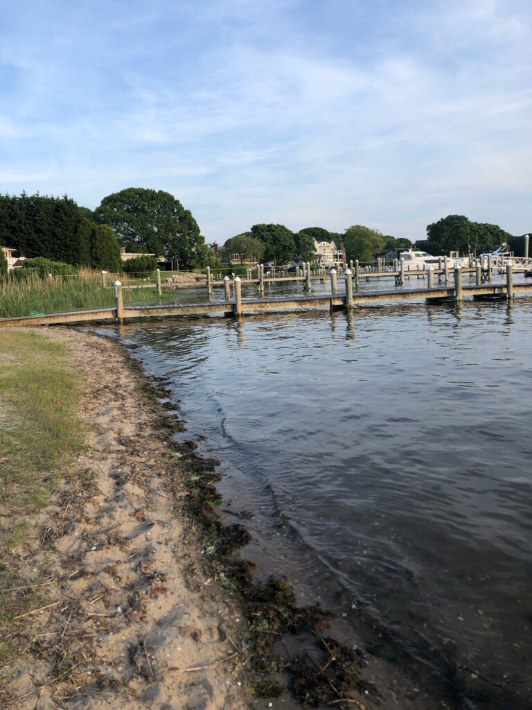 a body of water with a dock and grass and trees around it (MyCoast AI)