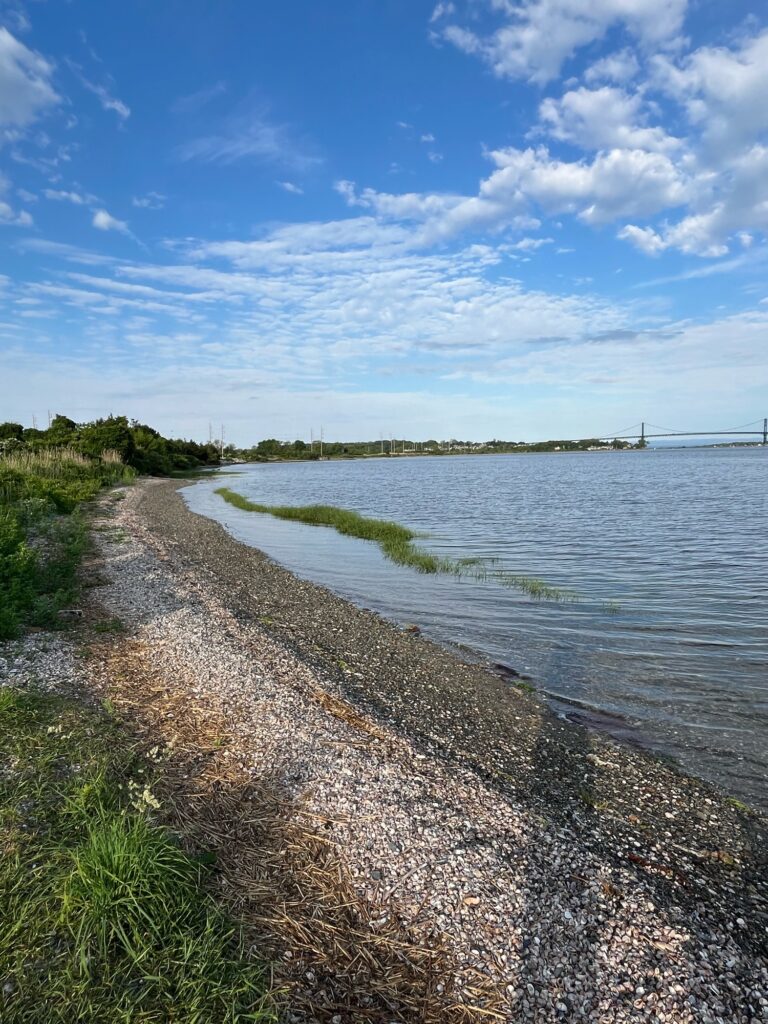 a rocky beach with a body of water and land in the background (MyCoast AI)