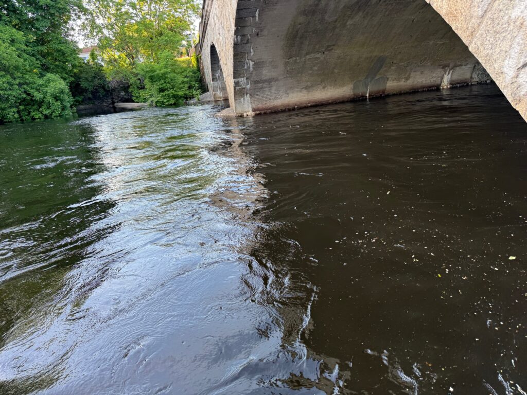 a body of water with a concrete wall and trees around it (MyCoast AI)