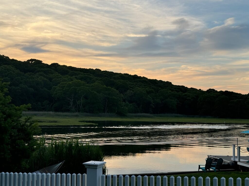 a lake with trees in the background (MyCoast AI)