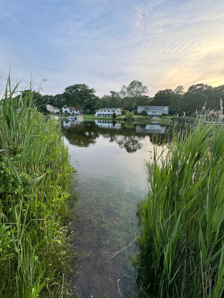 a body of water with buildings and trees around it (MyCoast AI)