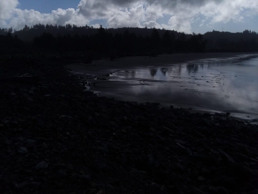 a lake with trees in the background (MyCoast AI)