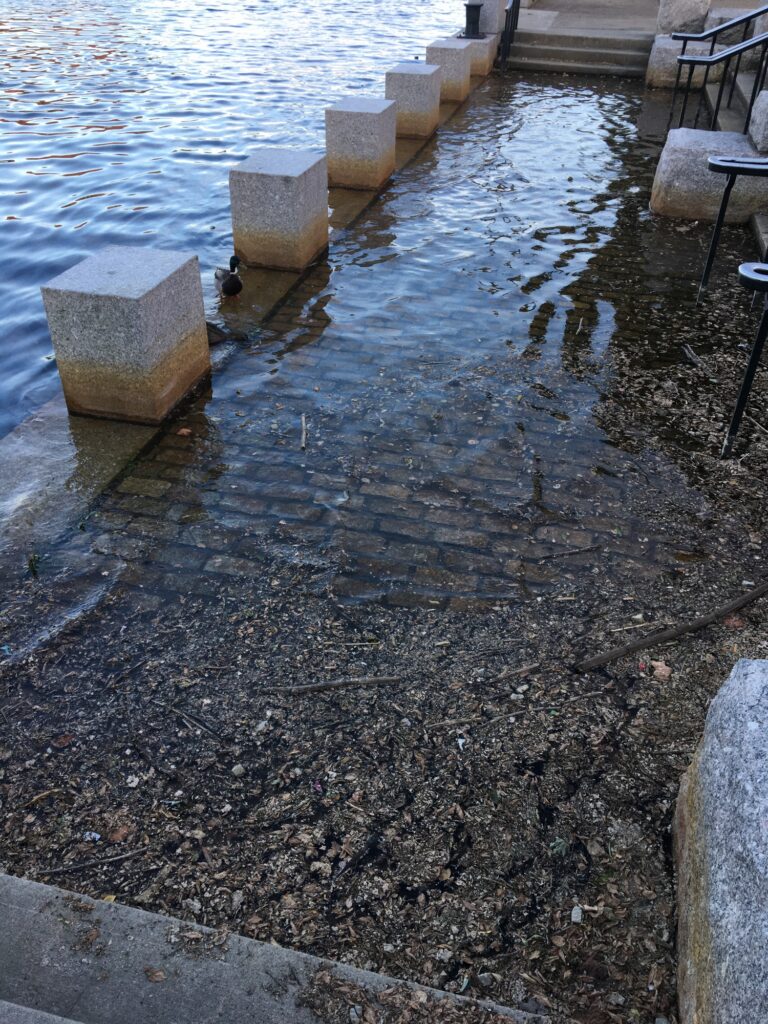 a body of water with rocks and benches around it (MyCoast AI)