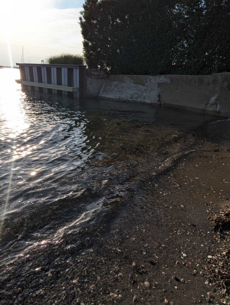 a body of water with a concrete wall and trees in the background (MyCoast AI)