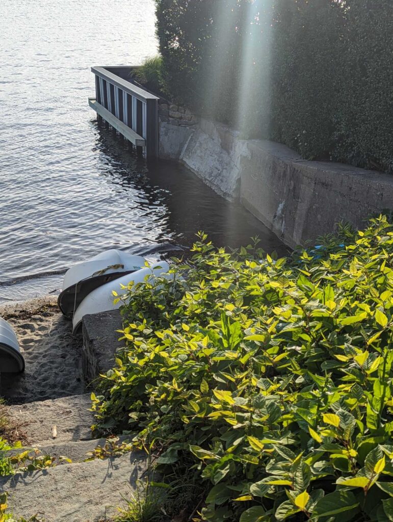 a car parked near a waterfall (MyCoast AI)