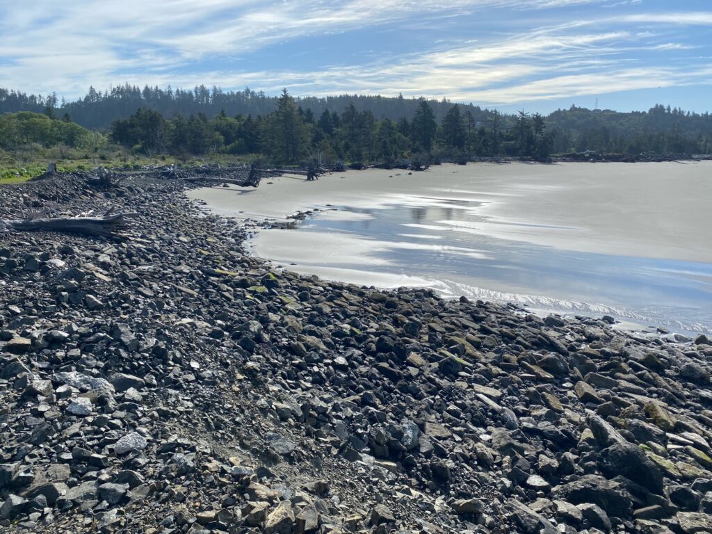 a rocky beach with trees in the background (MyCoast AI)