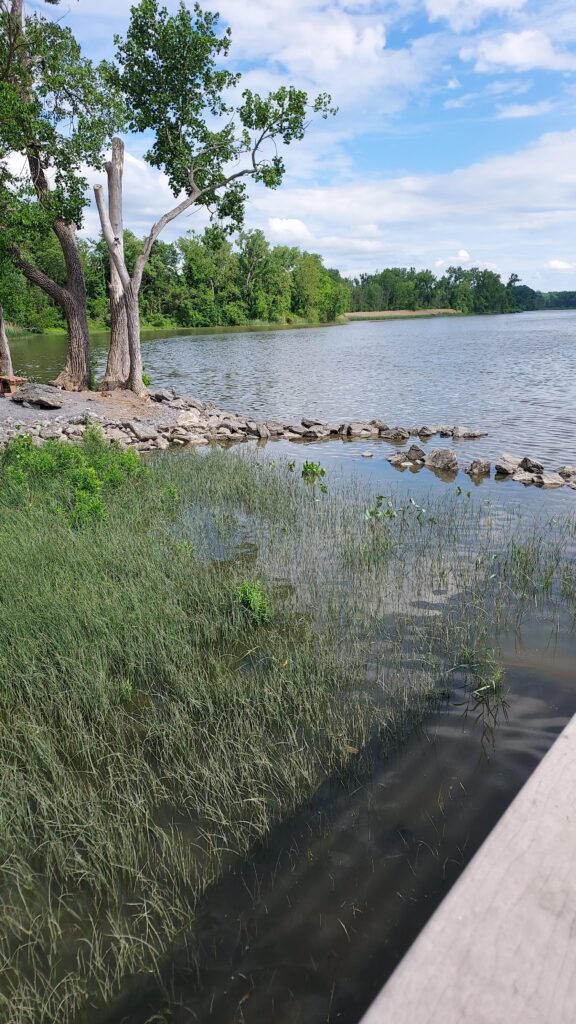 a body of water with grass and trees around it (MyCoast AI)