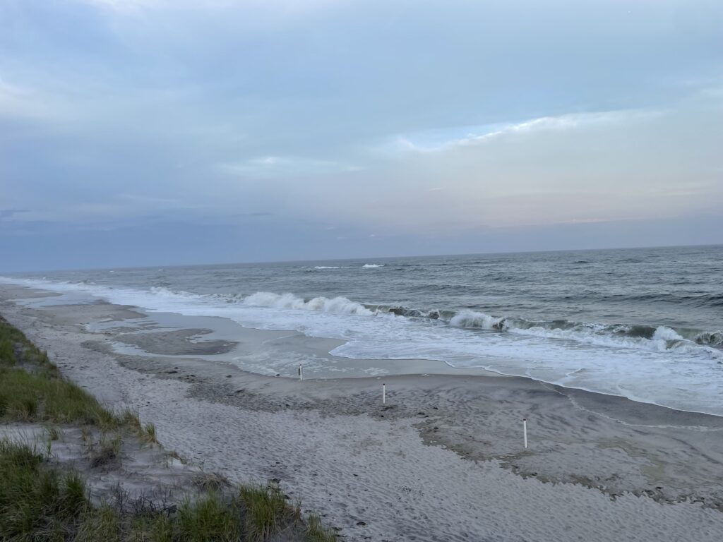 a beach with waves crashing (MyCoast AI)