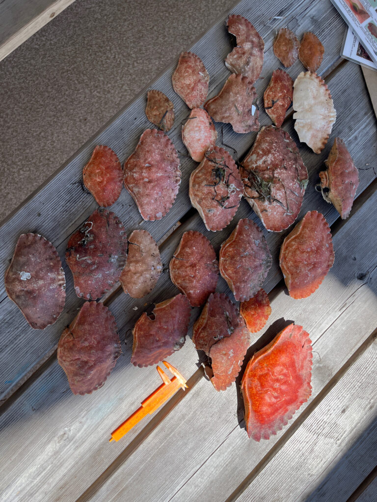 a wooden cutting board with meat on it (MyCoast AI)