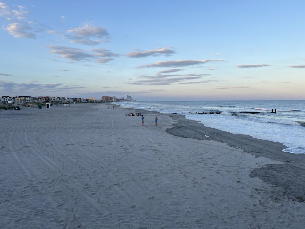 people on a beach (MyCoast AI)