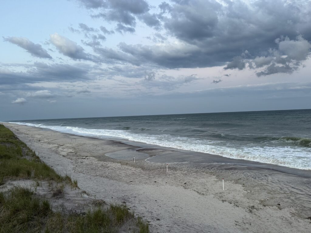 a beach with waves crashing on it (MyCoast AI)