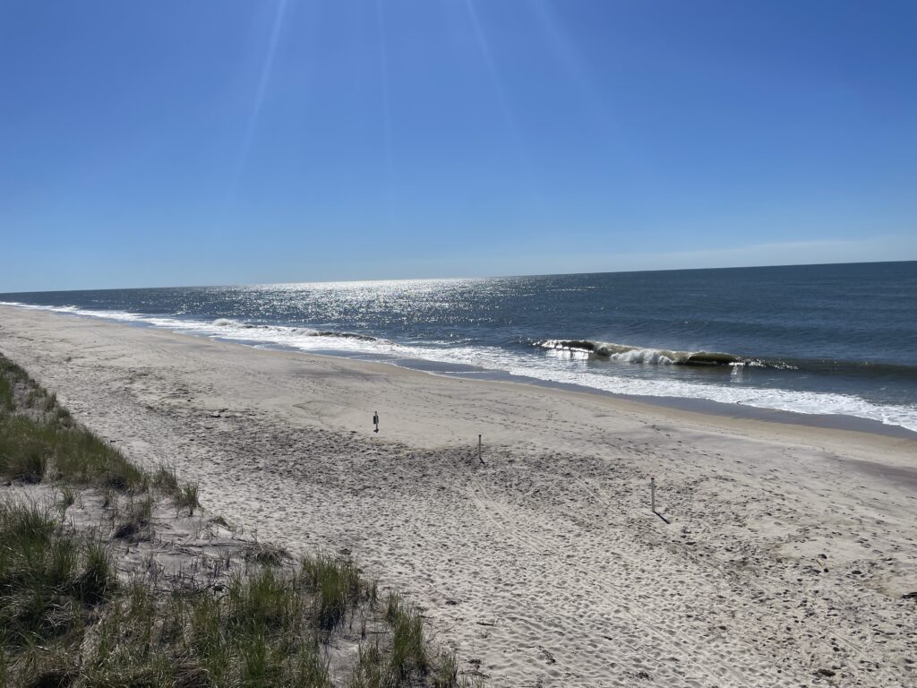 a sandy beach with waves crashing on it (MyCoast AI)