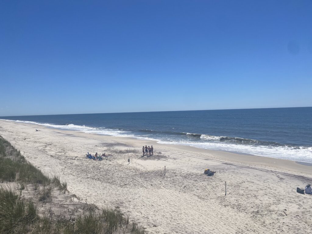 a beach with people walking on it (MyCoast AI)