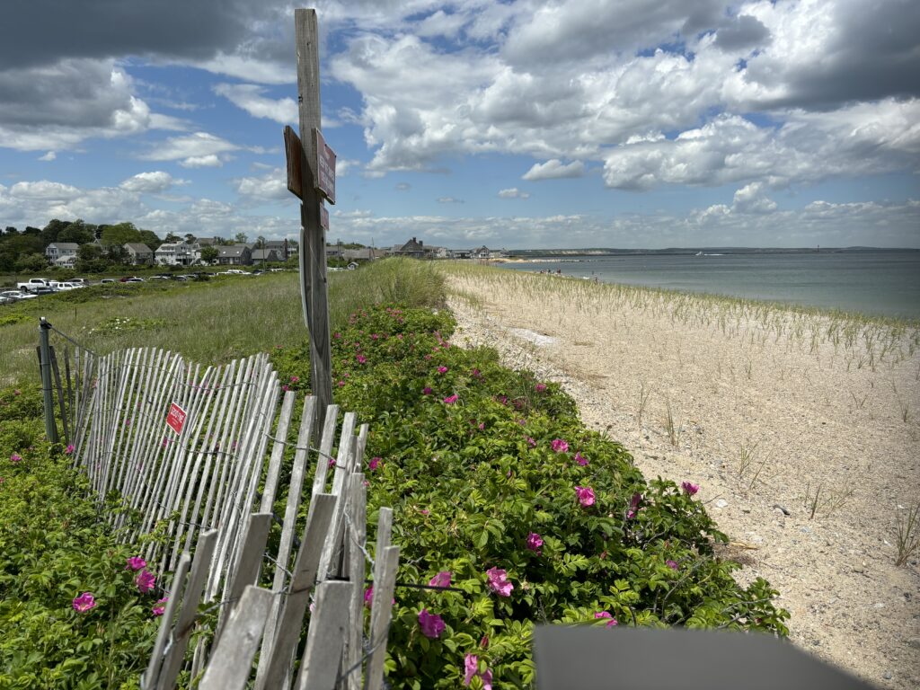 a fence on a beach (MyCoast AI)