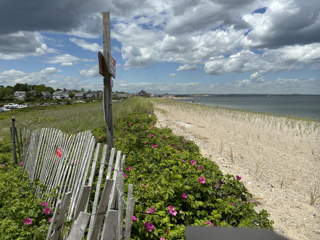 a fence on a beach (MyCoast AI)