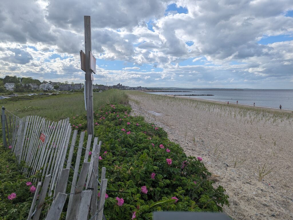 a fence on a beach (MyCoast AI)