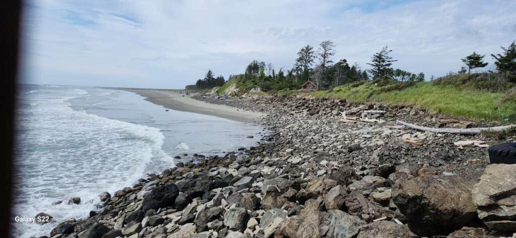 a rocky beach with trees and grass (MyCoast AI)