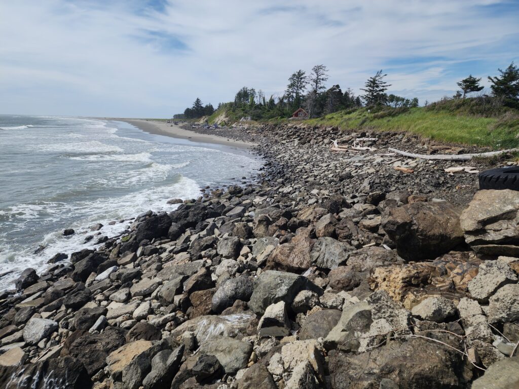 a rocky beach with trees and grass (MyCoast AI)