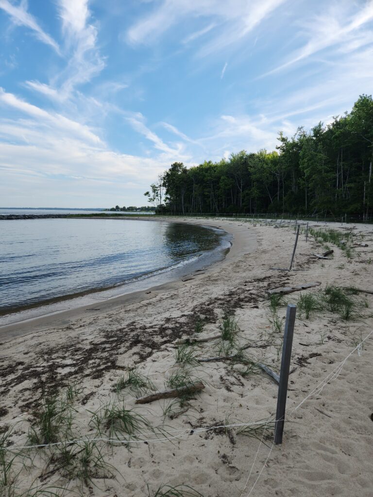 a beach with trees and a body of water (MyCoast AI)