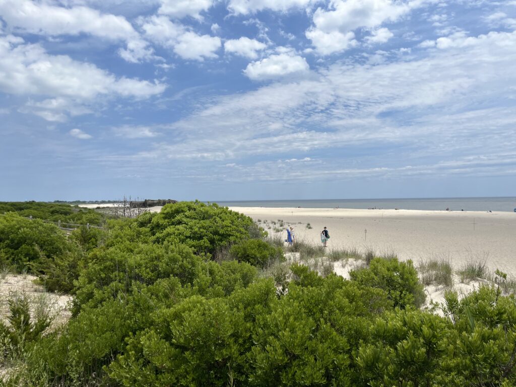 a group of people walking on a beach (MyCoast AI)