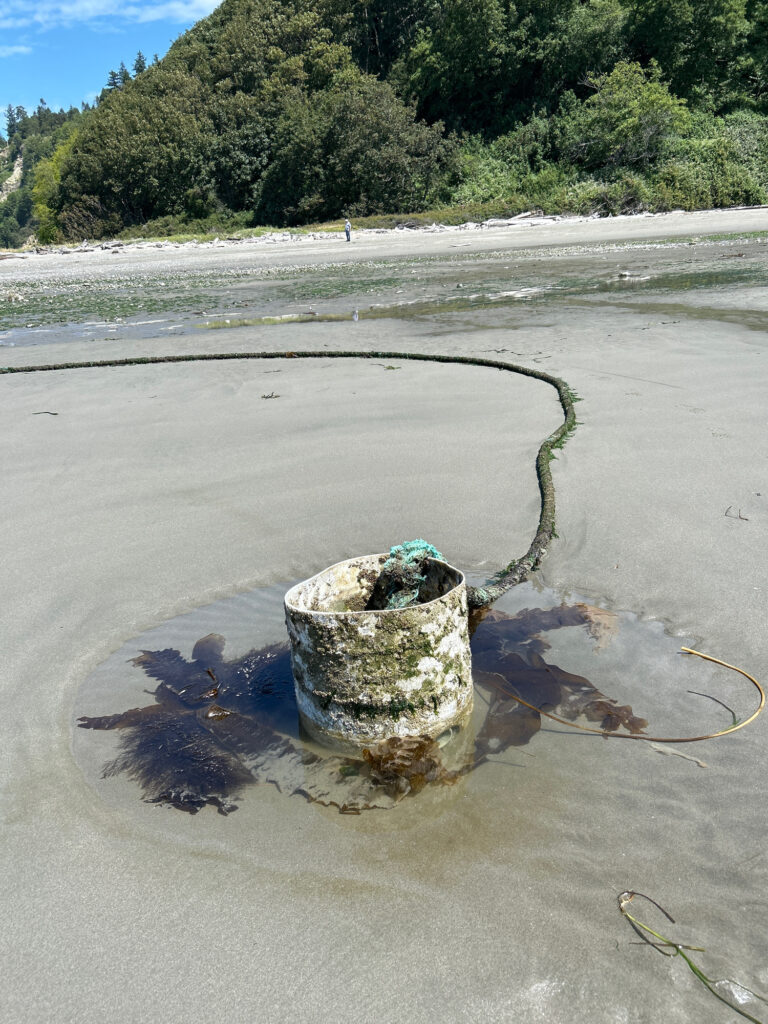 a bucket of dirt in the sand (MyCoast AI)
