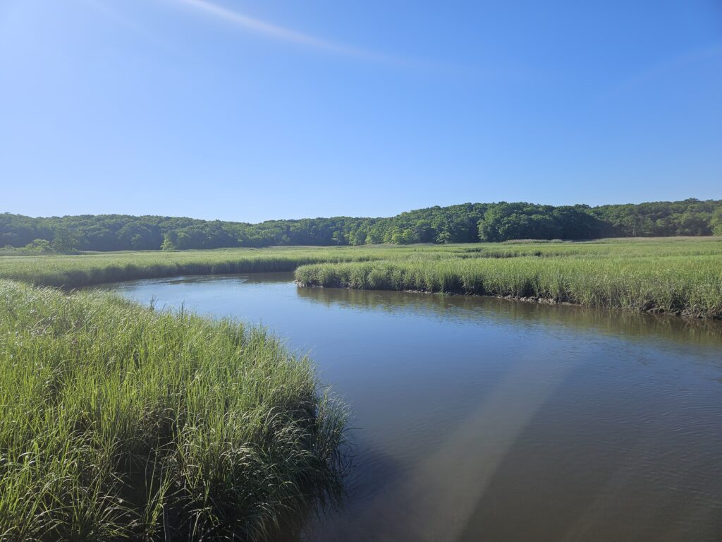 a body of water with grass and trees around it (MyCoast AI)