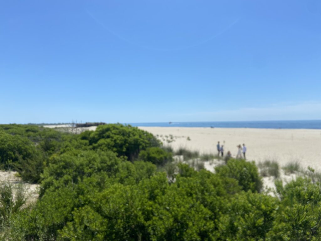 a group of people walking on a beach (MyCoast AI)